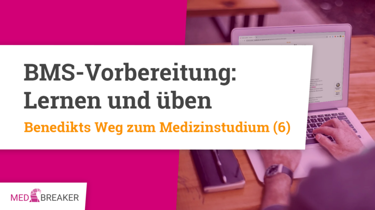 BMS-Vorbereitung: Lernen und üben
